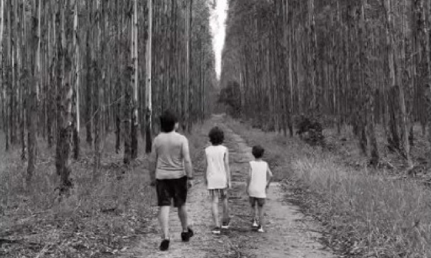 https://api.paranaibafm.com.br/mundo-dos-artistas/xororo-atende-ao-pedido-dos-netos-e-canta-evidencias-em-meio-ao-eco-da-natureza/attachment/novo-projeto-64/