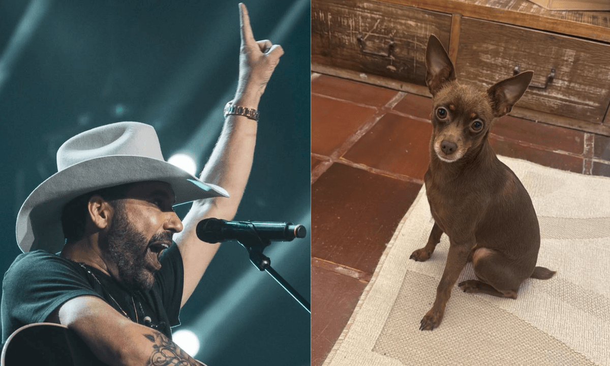 https://api.paranaibafm.com.br/mundo-dos-artistas/edson-mobiliza-buscas-apos-desaparecimento-de-cachorro-da-familia/attachment/foto-site-paranaiba-fm-2026-04-24t083122-816/